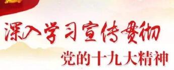 以十九大精神為指引 奮力書(shū)寫(xiě)新時(shí)代黨建工作新篇章